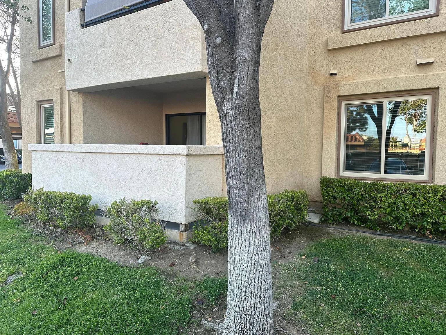 10676 Dabney Dr — Photo 4