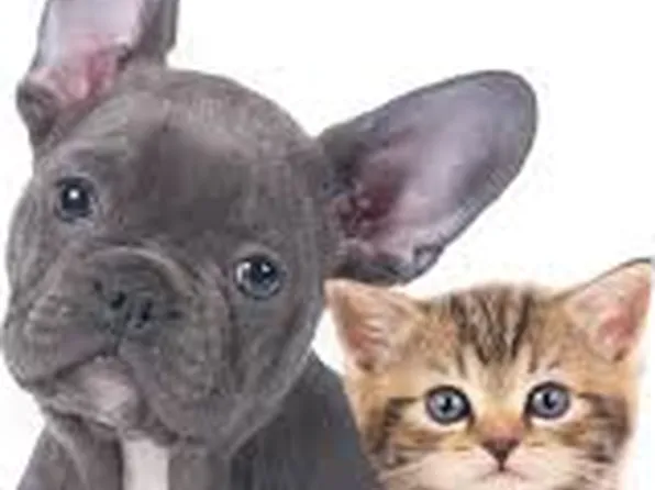 100 West 39th Street image 14 of 27