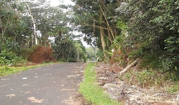 4th image of Niuhi St Lot 1279