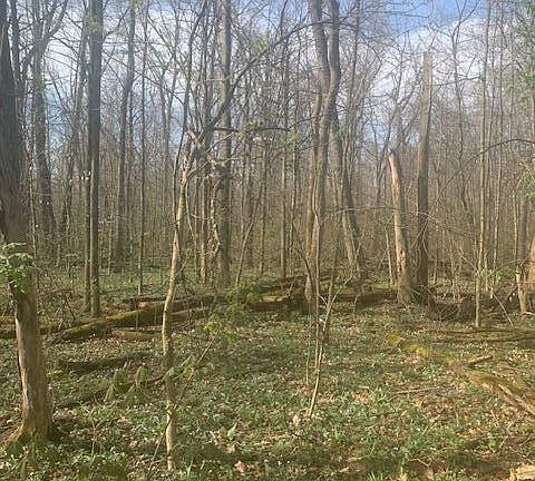 5th image of 0 Township Road 188