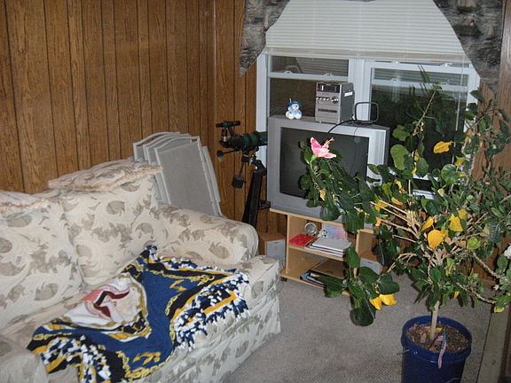 2nd image of 11 Hamilton Lane #B