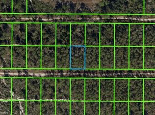 536 Wayside Ave, Sebring, FL 33872