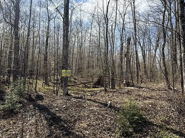 1 Log Lodge Rd, Winter, WI 54896