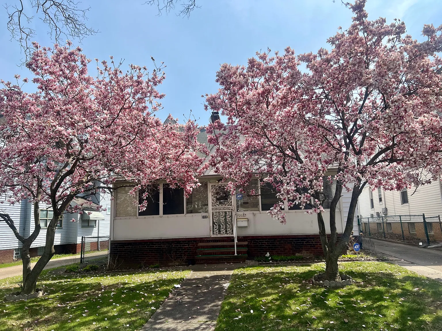 2 bed, 1600 sqft, $1,500 — Photo 1