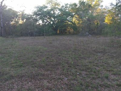 0 NE 141st Ct #13, Fort Mc Coy, FL, 32134