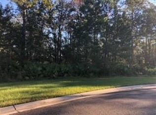 169 Bluebill Trl, Brunswick, GA 31523