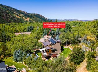 449 Mountain Laurel Dr UNIT 3, Aspen, CO 81611