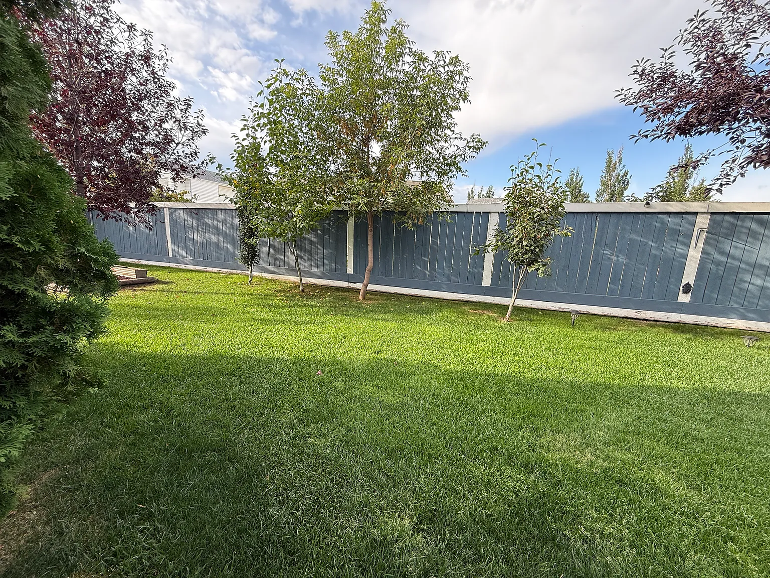 Larkspur 3 Bed 2.5 Bath Family Home For Rent — Photo 4