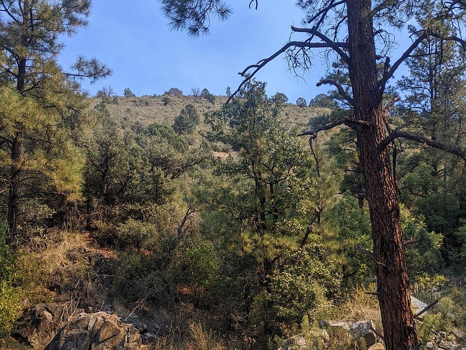 1st image of 3 Acres Forest Dr