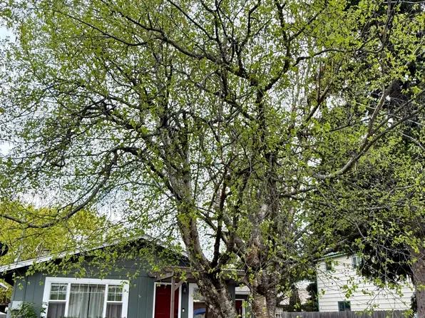 1323 Fir St, Sandpoint, ID 83864