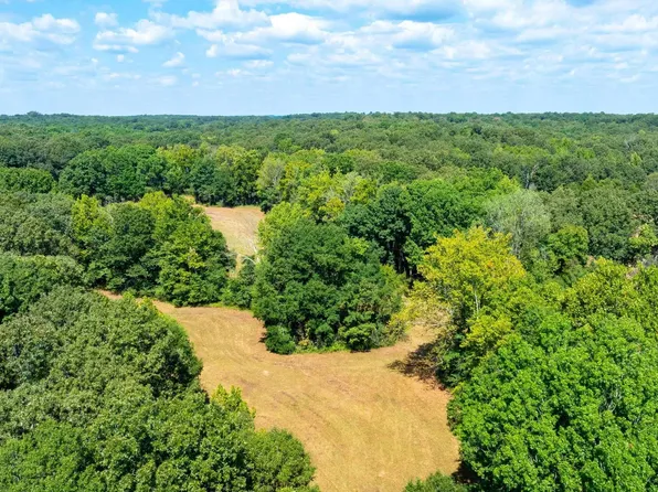 0 Lawrence Rd #228, Black Rock, AR 72415