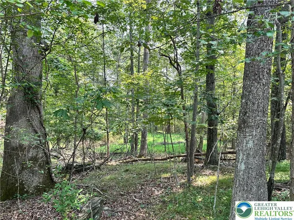 Timber Hill Rd #2B, Henryville, PA 18332