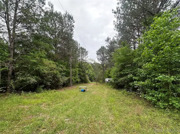 0 Highway 105, Skipperville, AL 36374