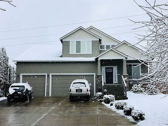 Snow Feb 2019