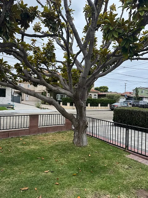 2 bed, 925 sqft, $3,600 — Photo 3