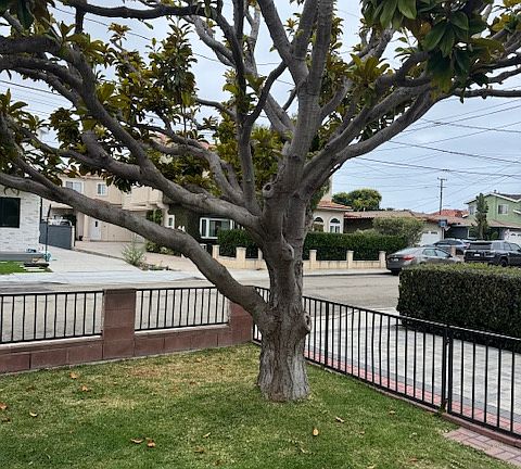3rd image of 2111 Plant Ave