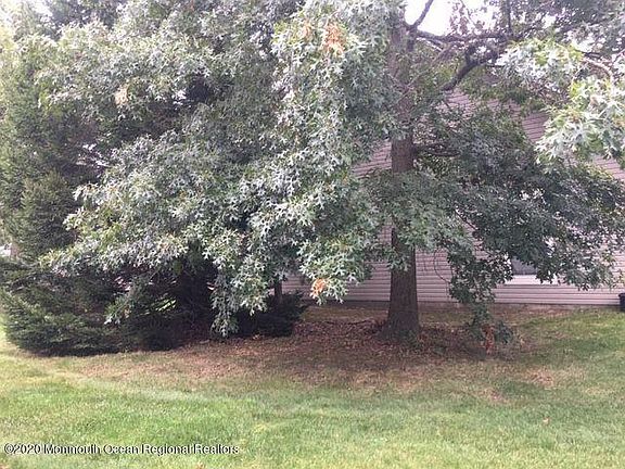 2nd image of 115 Driftwood Dr