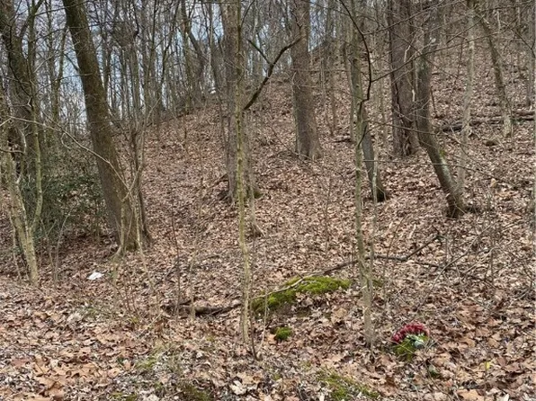 0 Woodhaven Dr, Charleston, WV 25387