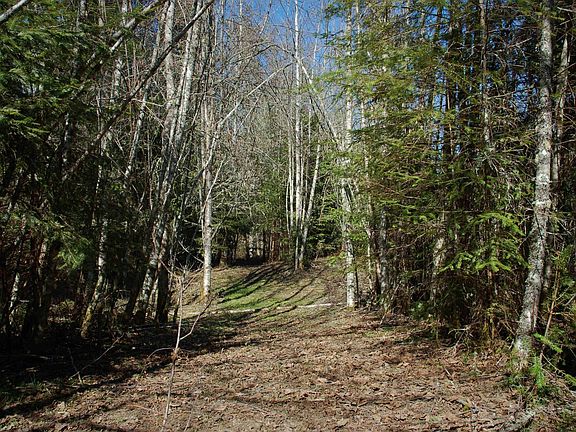 2nd image of S Bagley Creek Rd