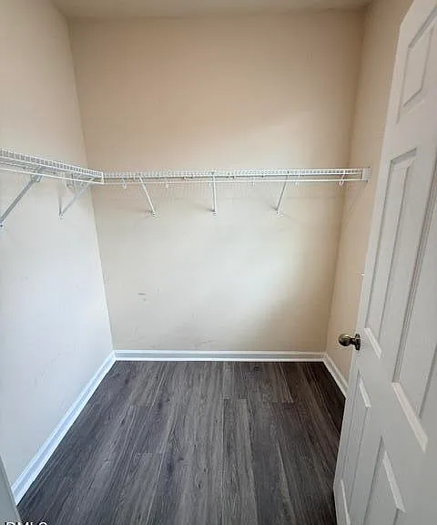 806 Carpenter Glenn Dr — Photo 37