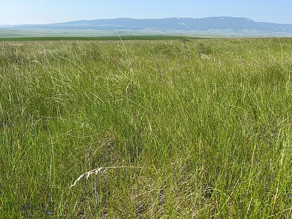 3rd image of Ubet Rd