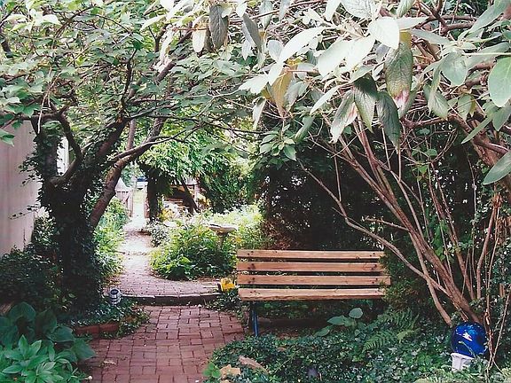 backyard late spring