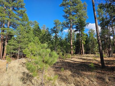 1967 Sugar Pine Dr, Happy Jack, AZ, 86024