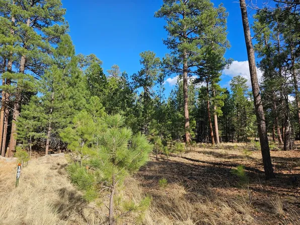 1967 Sugar Pine Dr, Happy Jack, AZ 86024