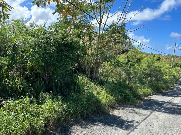 92 Mt. Pleasant EA, St. Croix, VI 00820