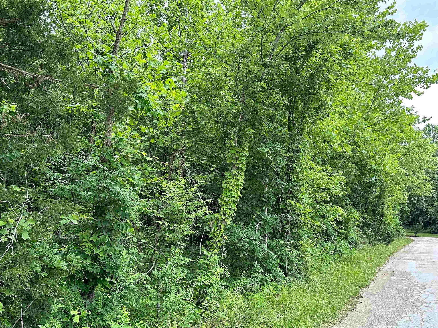 Clark Cemetary Rd photo 1