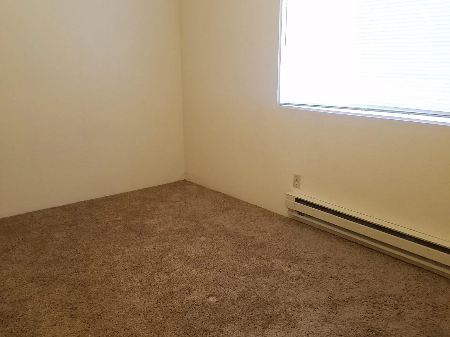 2 bed, 750 sqft, $1,200 — Photo 3