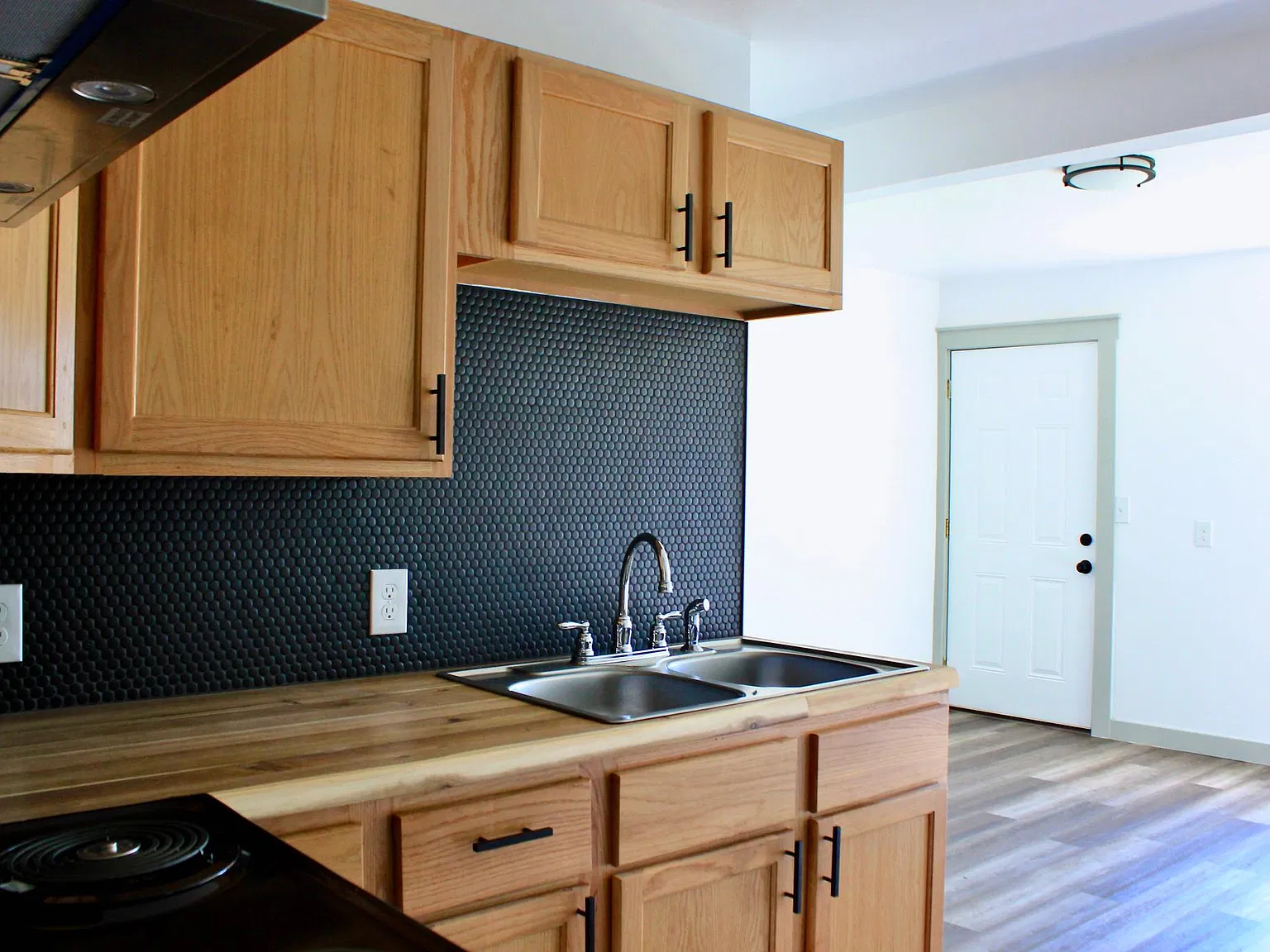 1 bed, $1,150 — Photo 3