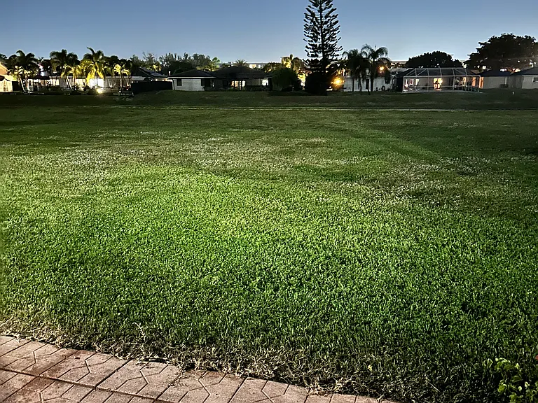 3115 N Palm Aire Dr #3115 — Photo 17