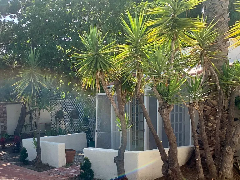 An oasis of calm nestled amongst trees.
