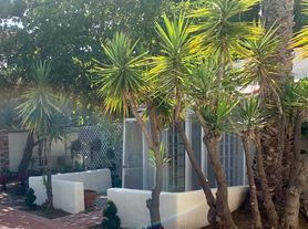 505 N Palm Dr, Beverly Hills, CA