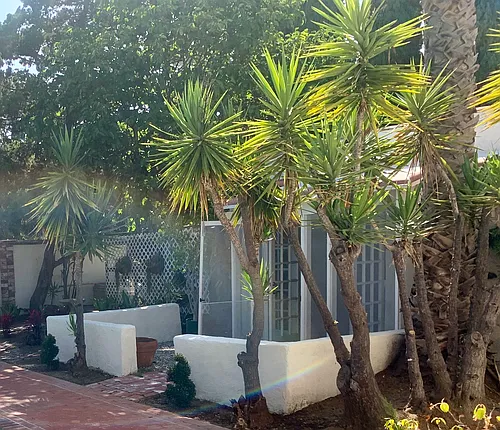 505 N Palm Dr #B Photo 1