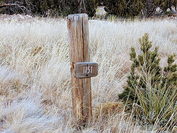 2nd image of 1151 Deer Canyon Trl