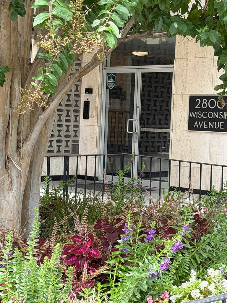 Studio, 464 sqft, $1,595 — Photo 2