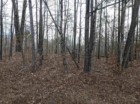 0 Highway 18 Lot 0, Medon, TN 38356