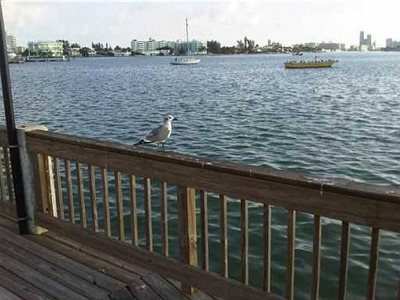 BOARDWALK VIEW