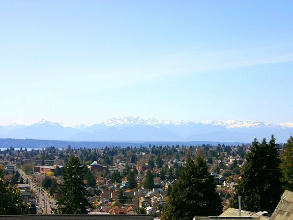 View From Roof Deck