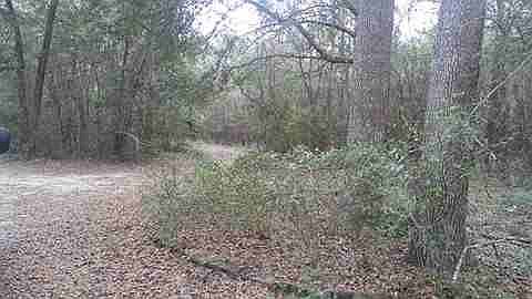1st image of Forest Manor Dr