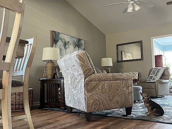 living room ceilings/floor
