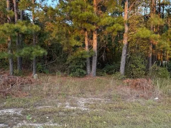 Tbd Cognac Road, Hamlet, NC 28345