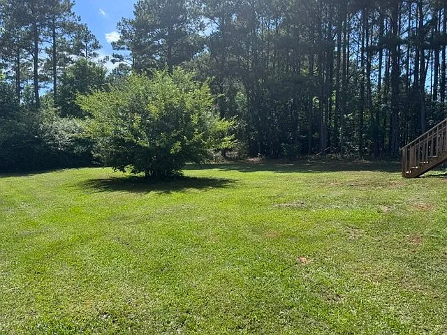 2301 Douglas School Rd — Photo 19