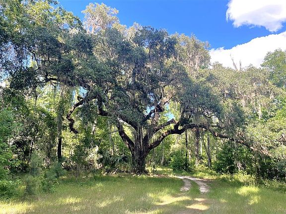 3rd image of 11804 SE COUNTY ROAD 234