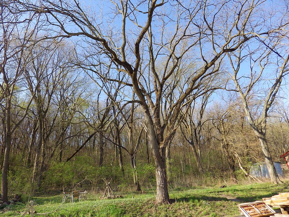 2nd image of 364A N 2629th Rd