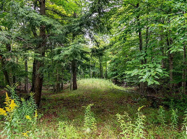 LOT 15/16 Mount Pisgah, Saranac Lake, NY 12983