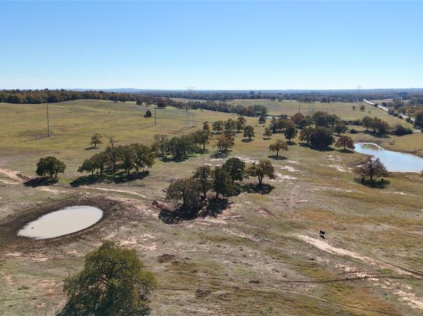 481 Tbd County Rd, Thrall, TX 76578