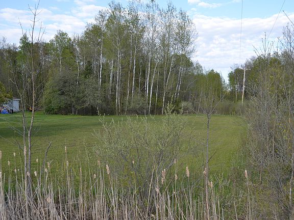 4th image of 2956-3 Rivers Rd
